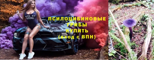 дживик Лабытнанги