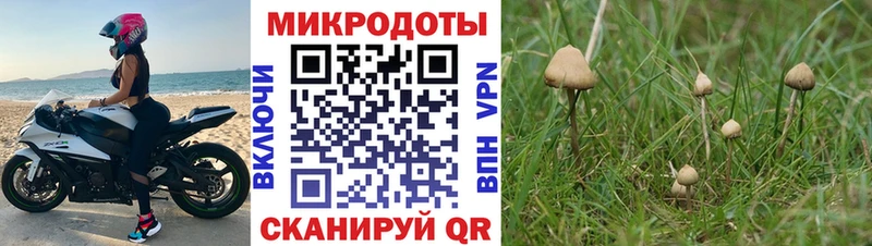Псилоцибиновые грибы прущие грибы  наркота  Тюмень 